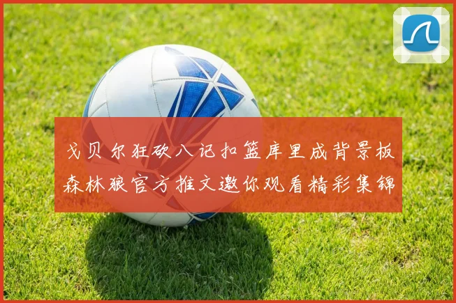 戈贝尔狂砍八记扣篮库里成背景板森林狼官方推文邀你观看精彩集锦