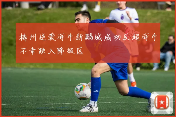 梅州逆袭海牛新鹏城成功反超海牛不幸跌入降级区