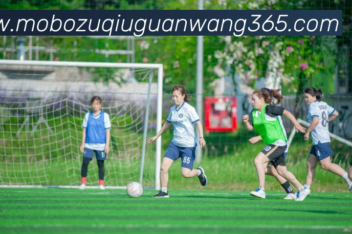 摩博体育平台生态图